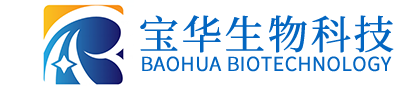 星空网页版登录入口